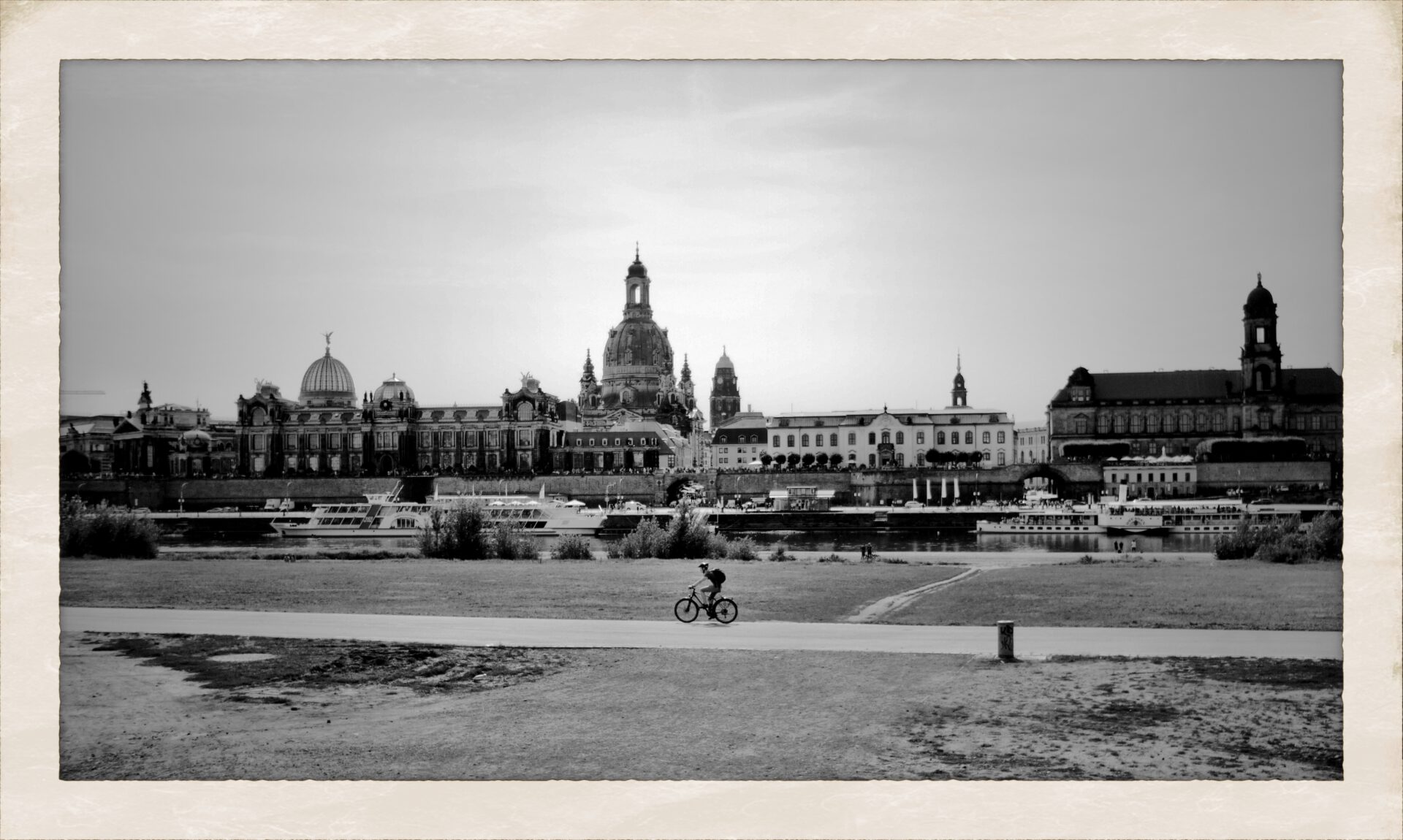 Elbblick Dresden