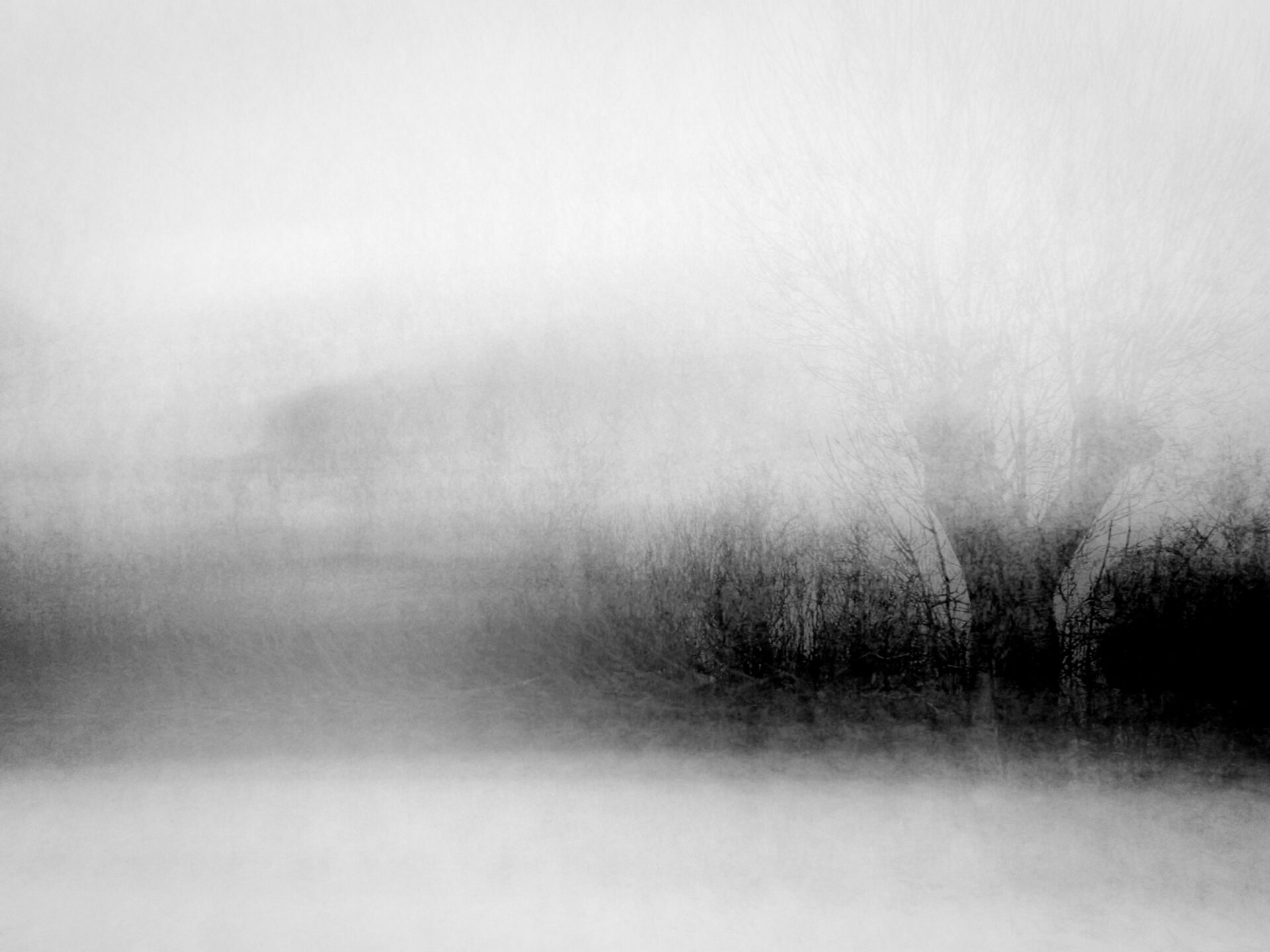 Baumfahrt (Mario Heide)