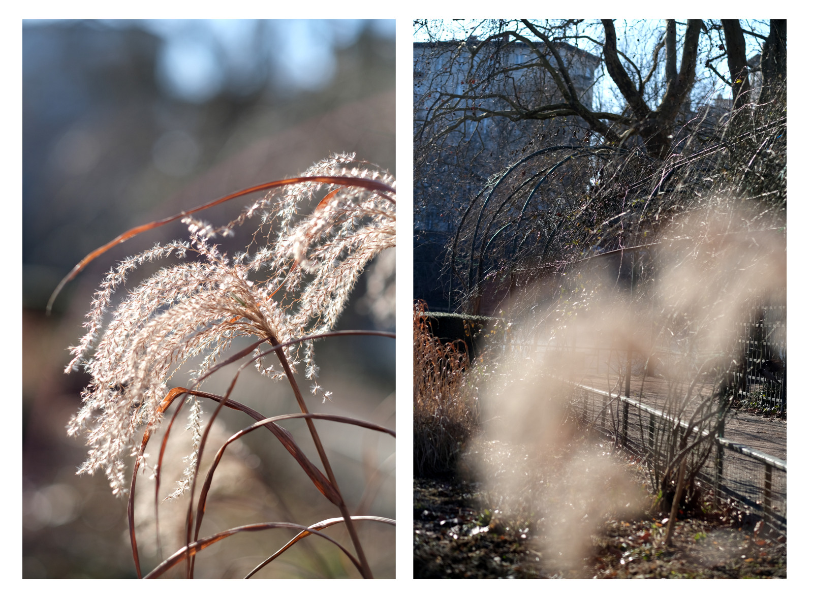 Bild Hartmut Gräfenhahn